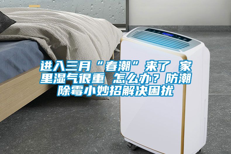 進入三月“春潮”來了 家里濕氣很重 怎么辦？防潮除霉小妙招解決困擾