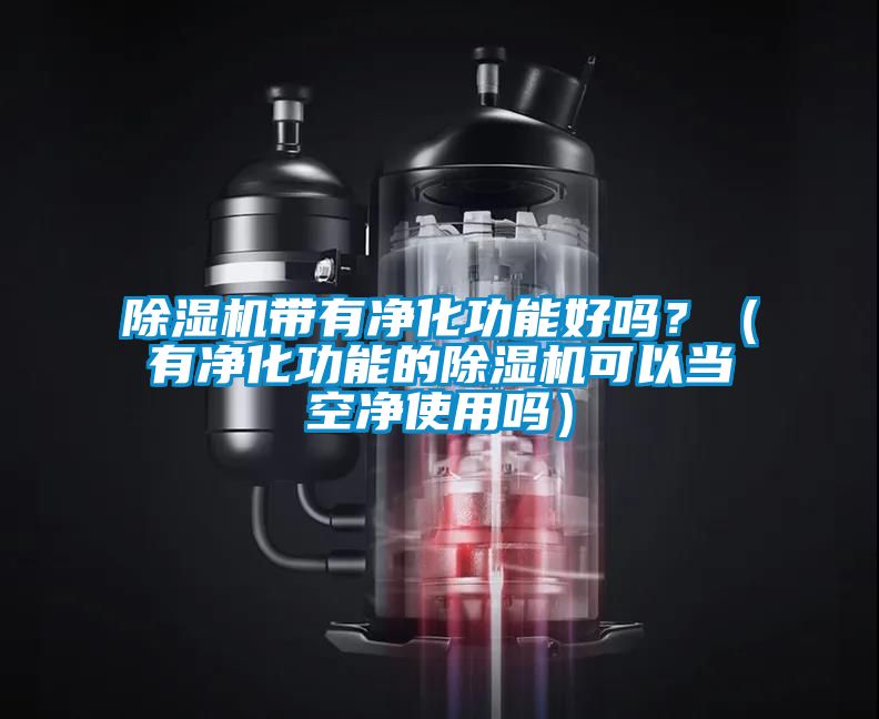 除濕機(jī)帶有凈化功能好嗎？（有凈化功能的除濕機(jī)可以當(dāng)空凈使用嗎）