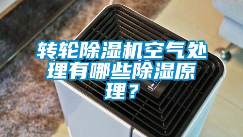 轉(zhuǎn)輪除濕機空氣處理有哪些除濕原理？