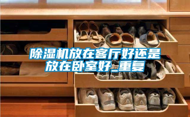 除濕機(jī)放在客廳好還是放在臥室好_重復(fù)