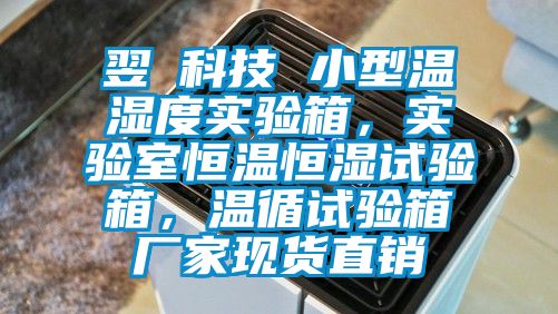 翌昇科技 小型溫濕度實驗箱，實驗室恒溫恒濕試驗箱，溫循試驗箱廠家現(xiàn)貨直銷
