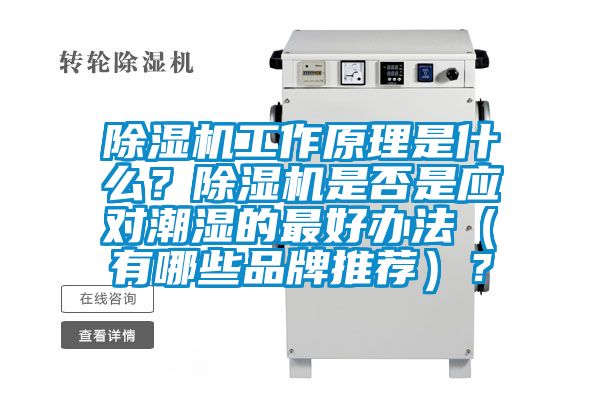 除濕機(jī)工作原理是什么？除濕機(jī)是否是應(yīng)對潮濕的最好辦法（有哪些品牌推薦）？