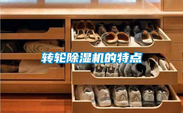 轉(zhuǎn)輪除濕機(jī)的特點