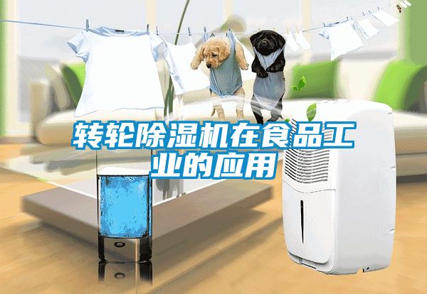 轉(zhuǎn)輪除濕機在食品工業(yè)的應(yīng)用