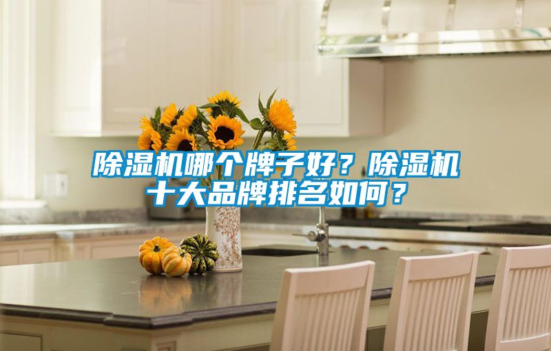 除濕機(jī)哪個(gè)牌子好？除濕機(jī)十大品牌排名如何？