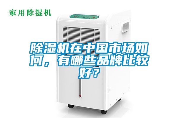 除濕機在中國市場如何，有哪些品牌比較好？