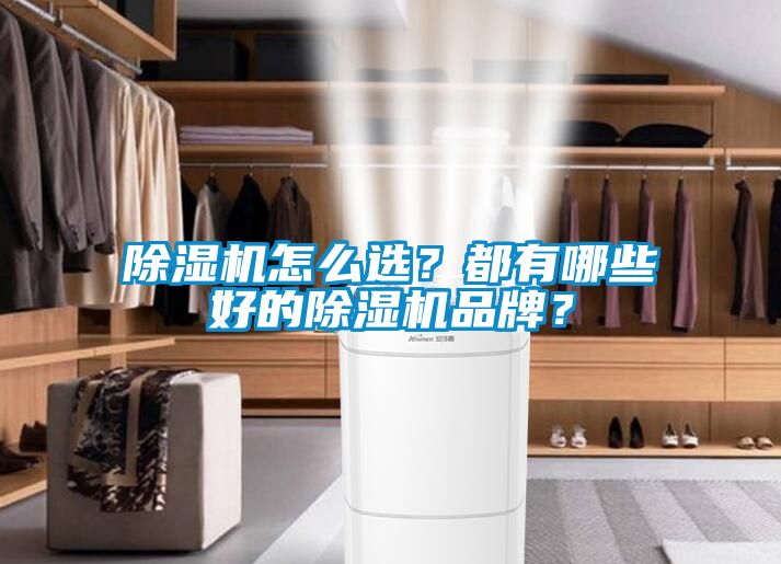 除濕機怎么選？都有哪些好的除濕機品牌？