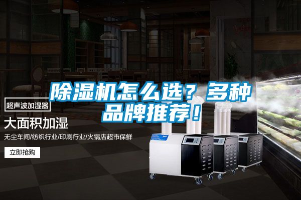 除濕機怎么選？多種品牌推薦！