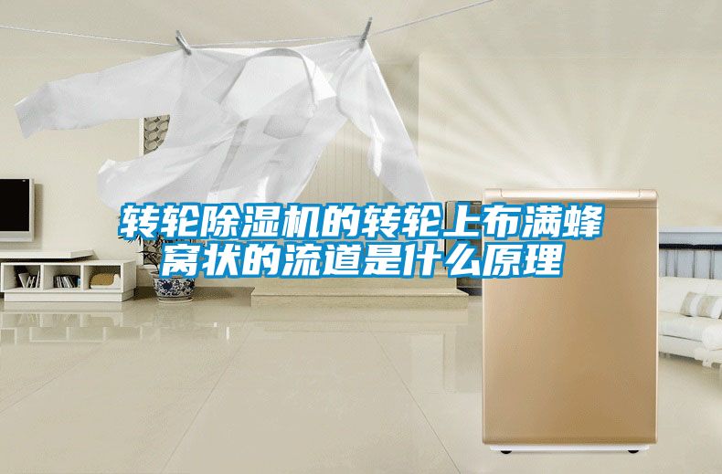 轉(zhuǎn)輪除濕機(jī)的轉(zhuǎn)輪上布滿(mǎn)蜂窩狀的流道是什么原理