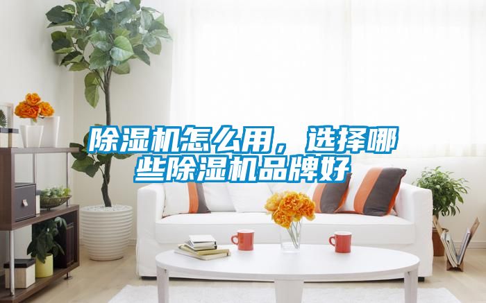 除濕機怎么用，選擇哪些除濕機品牌好