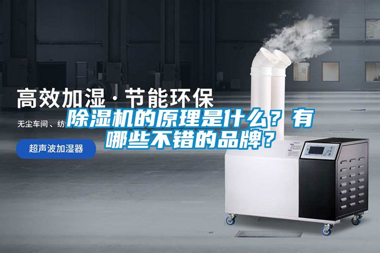 除濕機的原理是什么？有哪些不錯的品牌？
