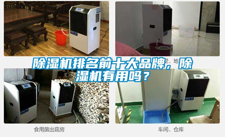 除濕機(jī)排名前十大品牌，除濕機(jī)有用嗎？