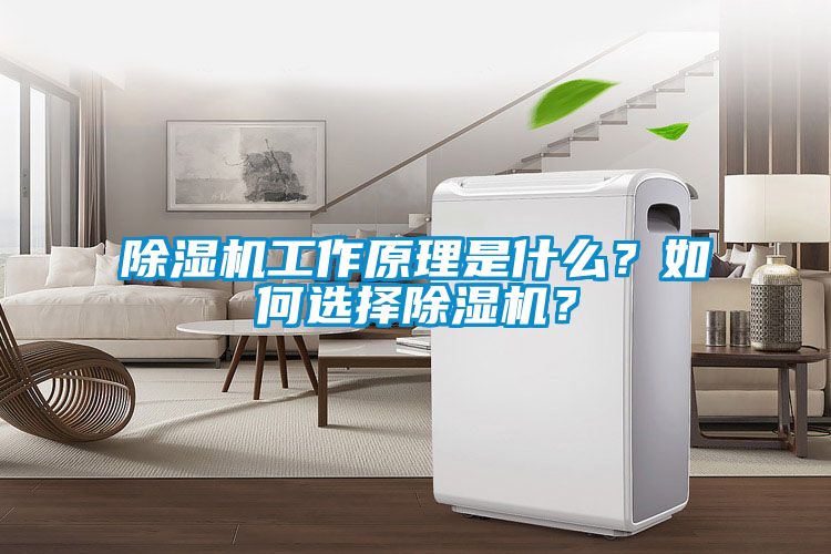 除濕機工作原理是什么？如何選擇除濕機？