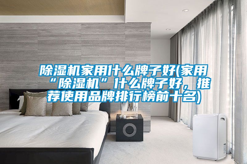 除濕機家用什么牌子好(家用“除濕機”什么牌子好，推薦使用品牌排行榜前十名)
