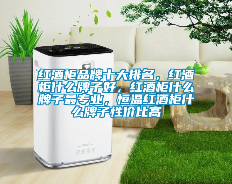 紅酒柜品牌十大排名，紅酒柜什么牌子好，紅酒柜什么牌子最專(zhuān)業(yè)，恒溫紅酒柜什么牌子性?xún)r(jià)比高