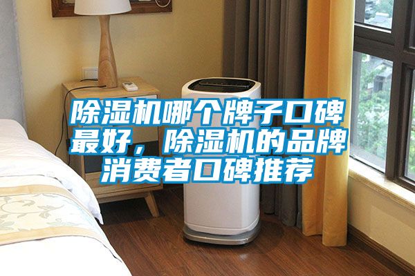 除濕機哪個牌子口碑最好，除濕機的品牌消費者口碑推薦