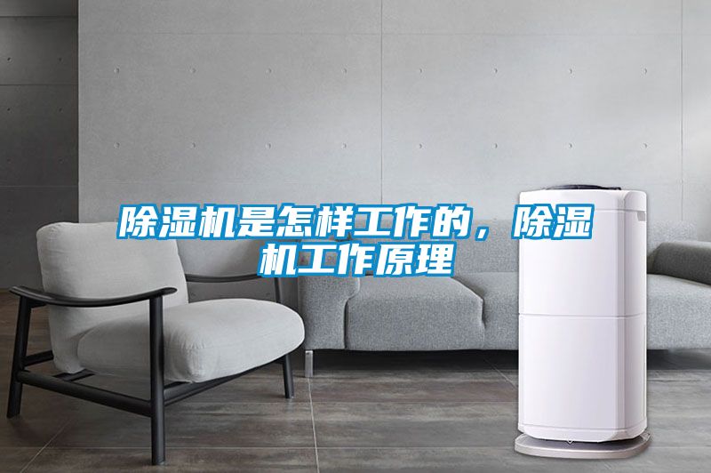 除濕機是怎樣工作的，除濕機工作原理