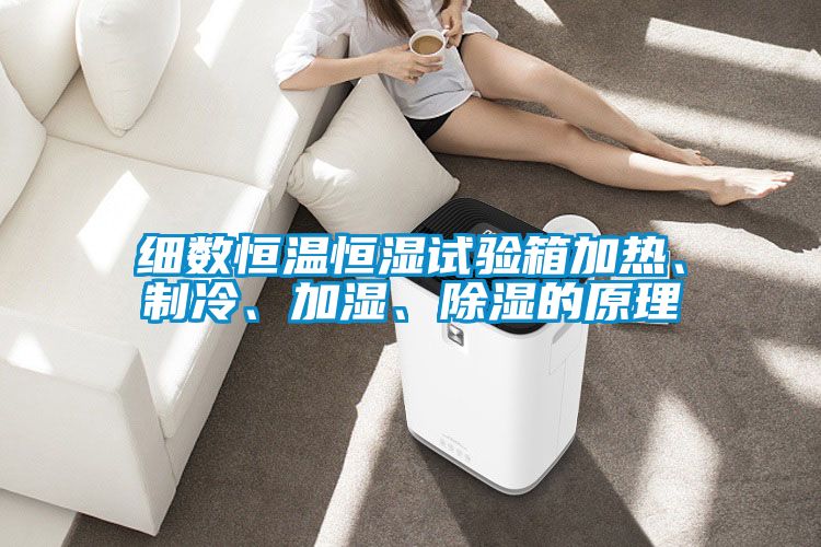 細數(shù)恒溫恒濕試驗箱加熱、制冷、加濕、除濕的原理