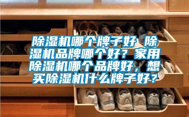除濕機(jī)哪個(gè)牌子好 除濕機(jī)品牌哪個(gè)好？家用除濕機(jī)哪個(gè)品牌好，想買除濕機(jī)什么牌子好？
