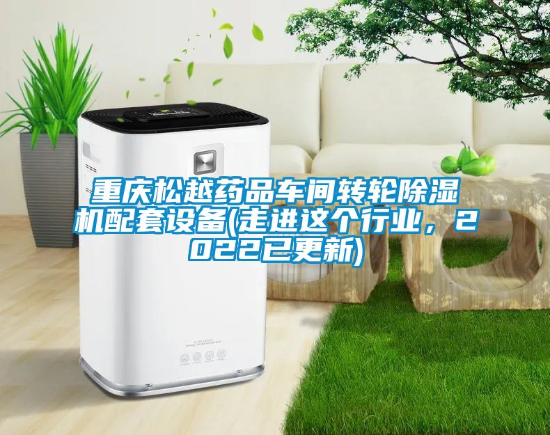 重慶松越藥品車間轉輪除濕機配套設備(走進這個行業(yè)，2022已更新)