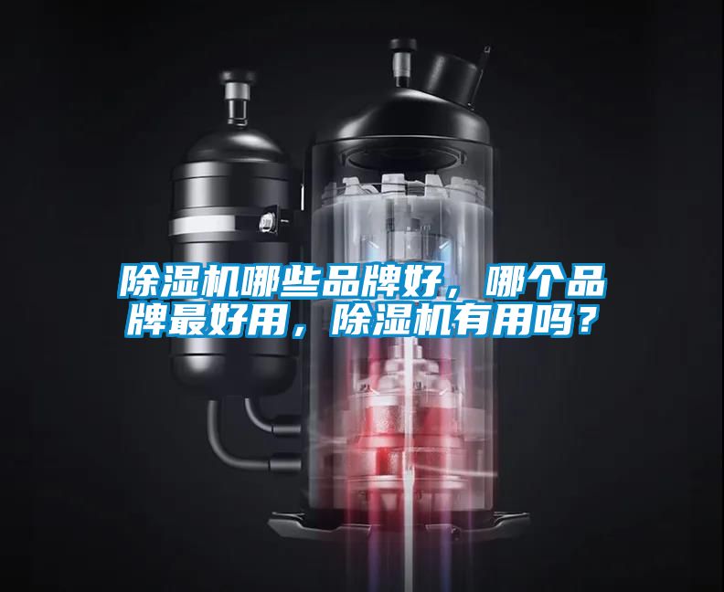 除濕機(jī)哪些品牌好，哪個品牌最好用，除濕機(jī)有用嗎？