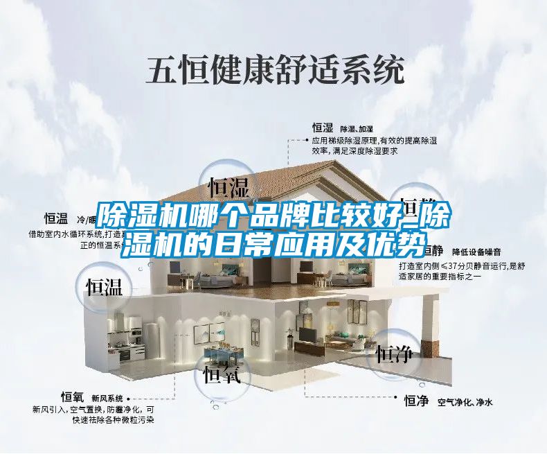 除濕機(jī)哪個(gè)品牌比較好_除濕機(jī)的日常應(yīng)用及優(yōu)勢