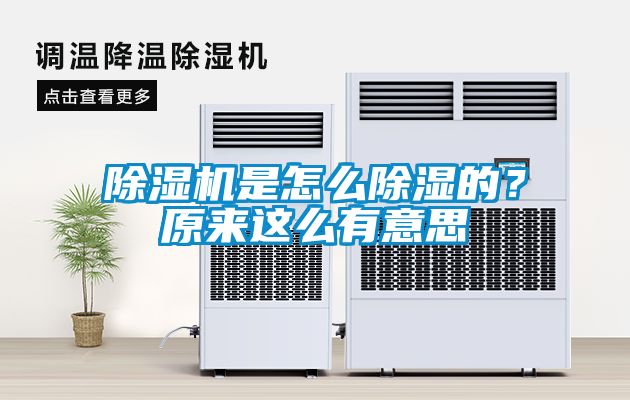 除濕機(jī)是怎么除濕的？原來這么有意思