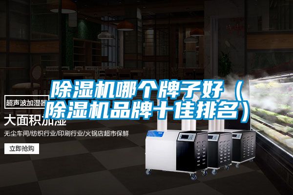 除濕機(jī)哪個牌子好（除濕機(jī)品牌十佳排名）