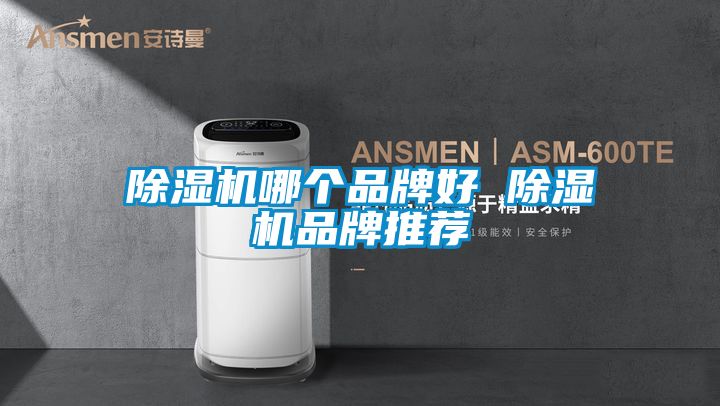 除濕機(jī)哪個品牌好 除濕機(jī)品牌推薦