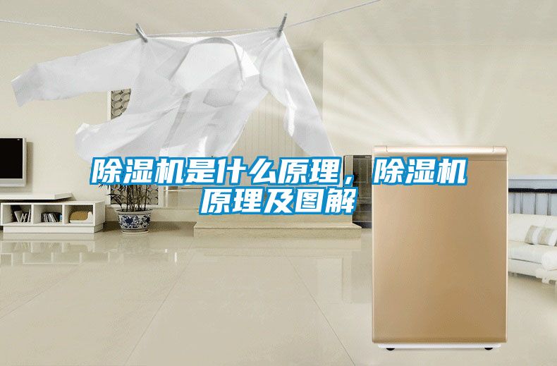 除濕機是什么原理，除濕機原理及圖解