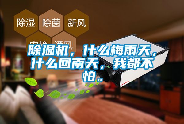 除濕機，什么梅雨天，什么回南天，我都不怕。