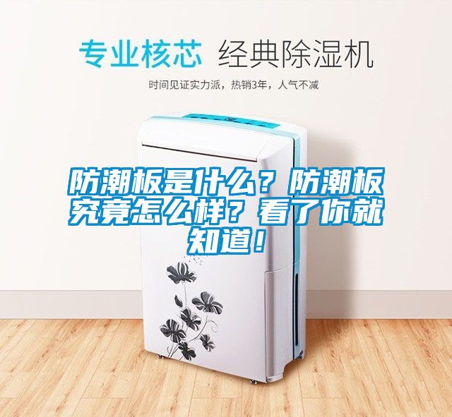 防潮板是什么？防潮板究竟怎么樣？看了你就知道！