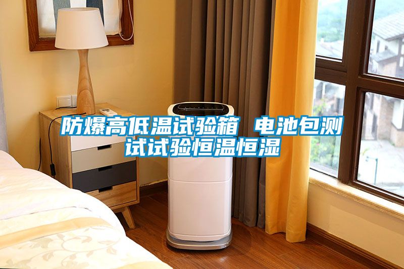 防爆高低溫試驗(yàn)箱 電池包測試試驗(yàn)恒溫恒濕