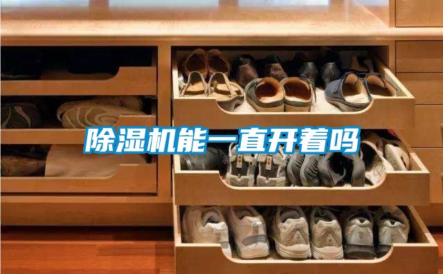 除濕機(jī)能一直開(kāi)著嗎