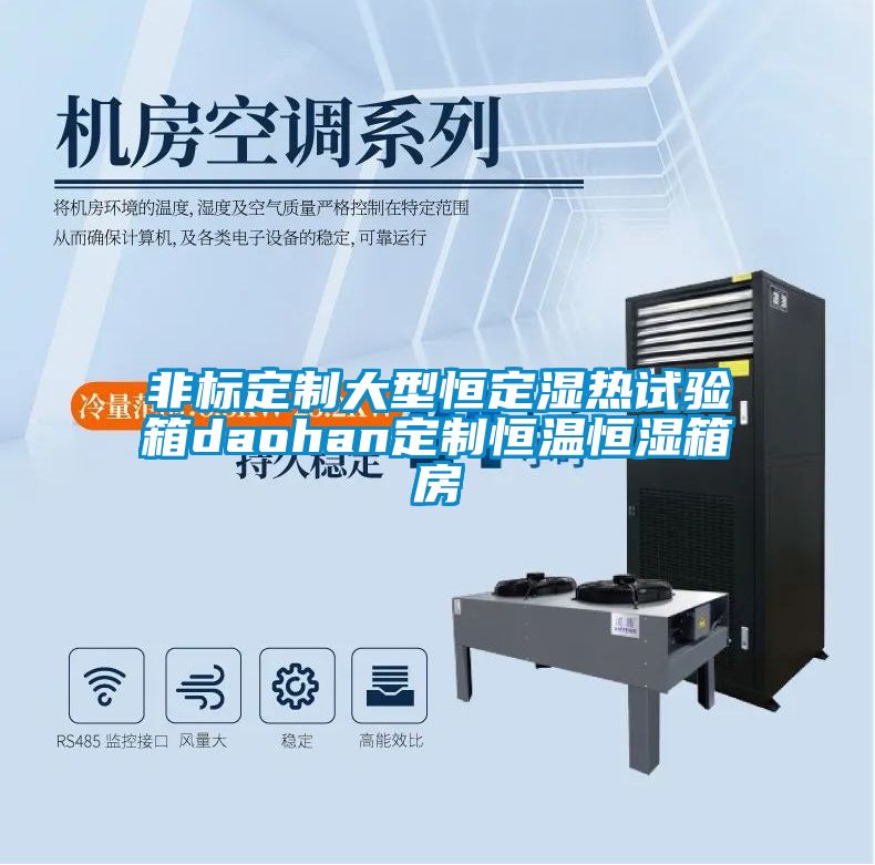 非標(biāo)定制大型恒定濕熱試驗箱daohan定制恒溫恒濕箱房