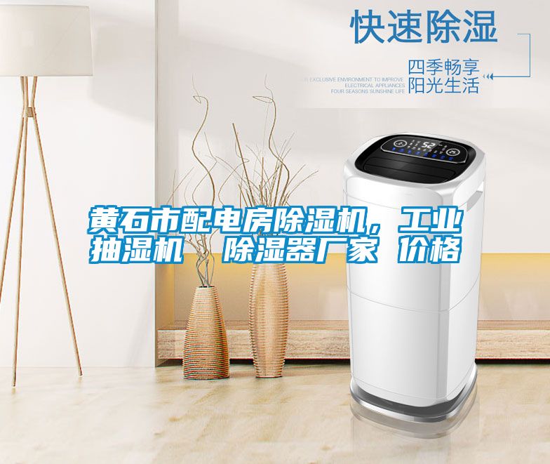 黃石市配電房除濕機(jī)，工業(yè)抽濕機(jī)  除濕器廠家 價(jià)格