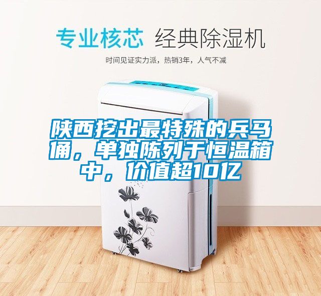 陜西挖出最特殊的兵馬俑，單獨陳列于恒溫箱中，價值超10億