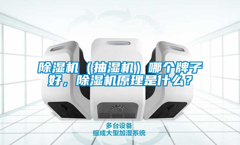 除濕機(jī)（抽濕機(jī)）哪個(gè)牌子好，除濕機(jī)原理是什么？