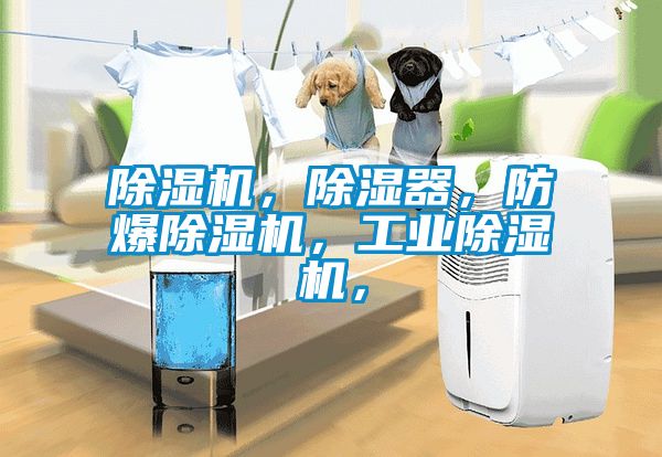 除濕機，除濕器，防爆除濕機，工業(yè)除濕機，