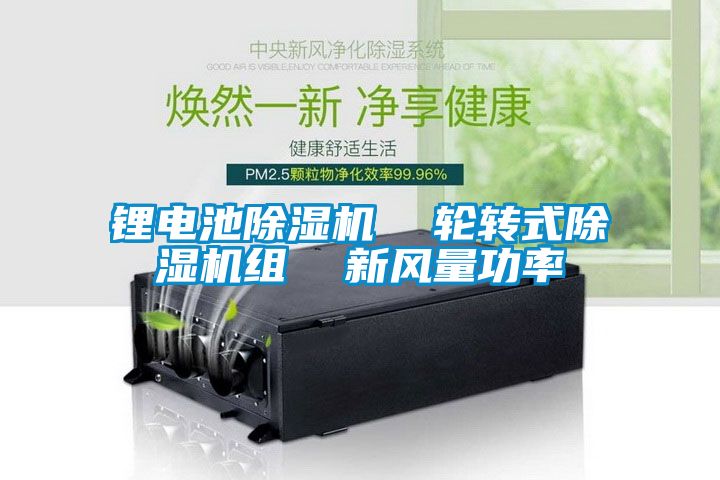 鋰電池除濕機  輪轉(zhuǎn)式除濕機組  新風量功率