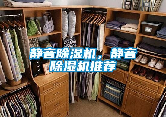 靜音除濕機(jī)，靜音除濕機(jī)推薦