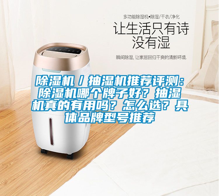 除濕機／抽濕機推薦評測：除濕機哪個牌子好？抽濕機真的有用嗎？怎么選？具體品牌型號推薦