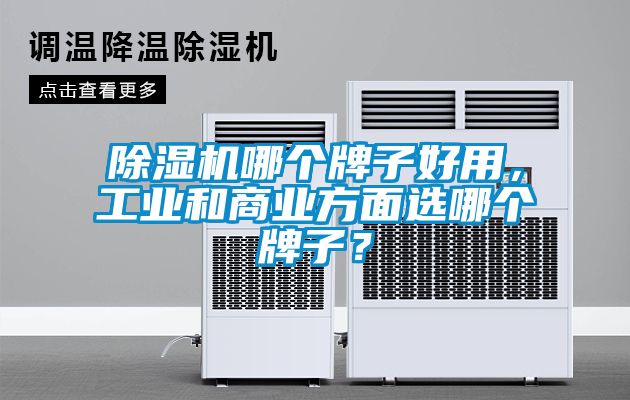 除濕機(jī)哪個(gè)牌子好用，工業(yè)和商業(yè)方面選哪個(gè)牌子？