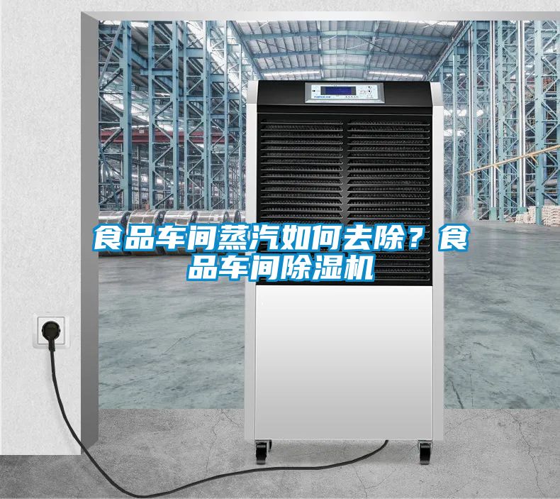 食品車間蒸汽如何去除？食品車間除濕機