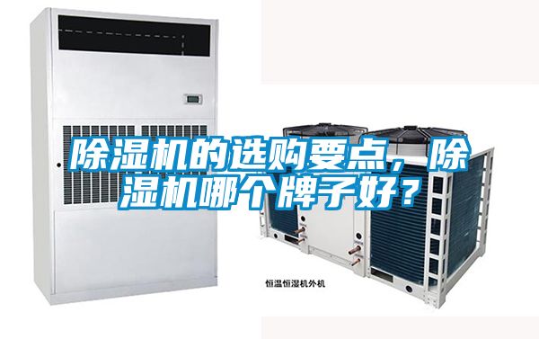 除濕機的選購要點，除濕機哪個牌子好？