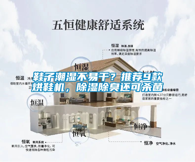鞋子潮濕不易干？推薦9款烘鞋機(jī)，除濕除臭還可殺菌