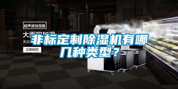 非標(biāo)定制除濕機(jī)有哪幾種類型？