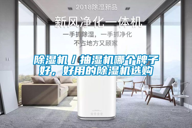 除濕機(jī)／抽濕機(jī)哪個(gè)牌子好，好用的除濕機(jī)選購(gòu)