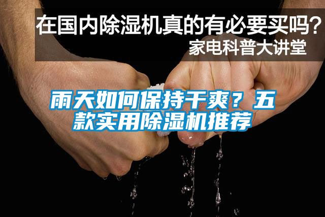 雨天如何保持干爽？五款實用除濕機推薦
