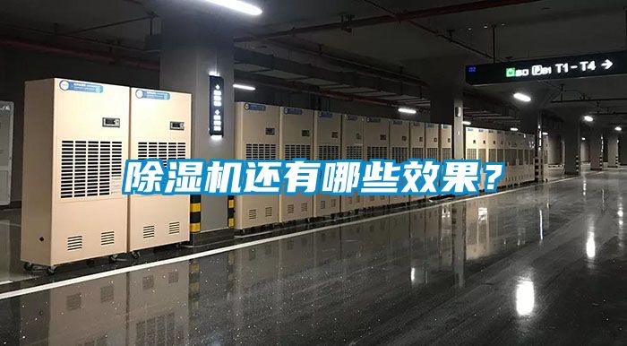 除濕機還有哪些效果？